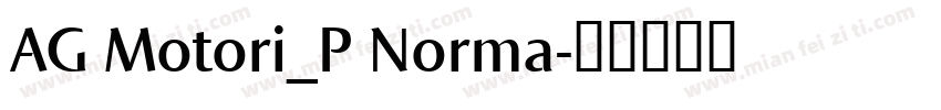 AG Motori_P Norma字体转换